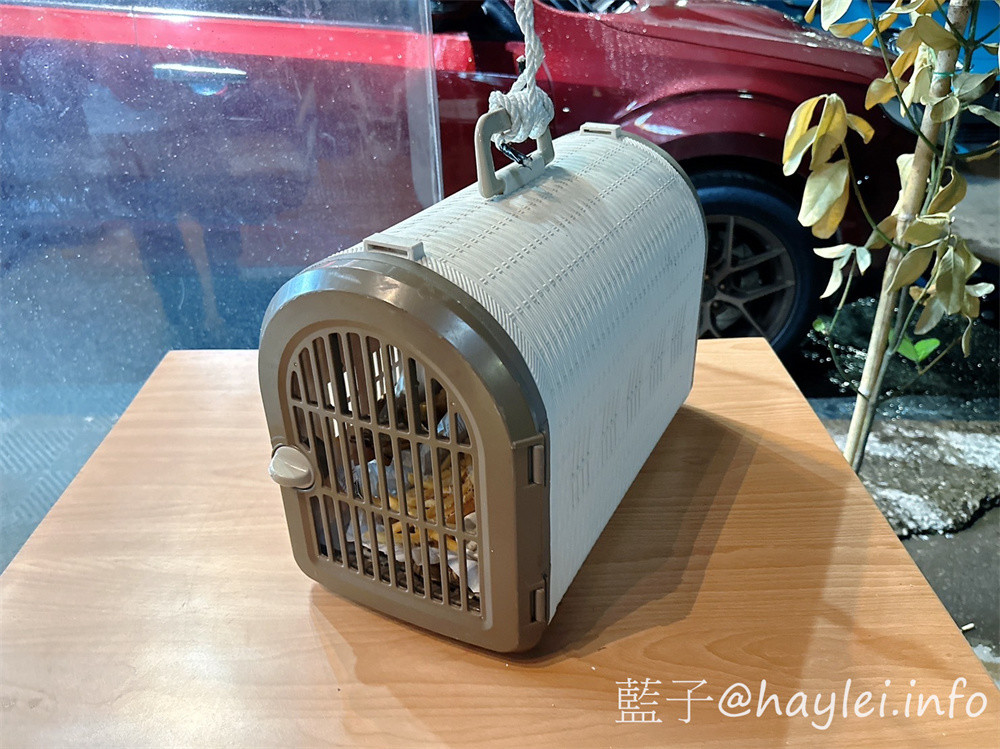 台中酒吧餐廳/拳擊UFC餐酒館/Bias 運動酒吧-Bias-嶺東一拳店裡有超激情的專業的拳擊UFC賽事轉播,也將舉辦拳擊UFC主題交流活動,超適合夜晚舒壓疲憊心靈的~必點柴窯熱狗英格蘭堡、爆辣煎餃、大口吃肉等特色美食,google評論送薯條或雞蛋豆腐唷!還有超特別的AI智慧調酒,感覺非常有趣!台中美食/南屯美食/台中餐酒館/台中異國料理/台中必吃熱狗堡/台中煎餃推薦/藍子愛美食 台中美食 國內旅遊 攝影 民生資訊分享 飲食集錦