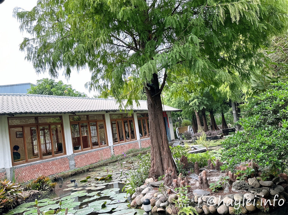 台中南屯美食/台中景觀餐廳/寵物友善餐廳/田寮農莊-古早傳承總舖師的辦桌手路菜，大部分食材都是自家種植，連內用可續的米飯都是自己種的台梗九號米混紫米口感彈Ｑ，是台中親子旅遊農家樂首選～在台中高鐵巷弄內發現桃花源，內設停車場，可以一邊享受道地的台中田園料理，一邊觀賞秘境的田園風光！台中美食/傳統農家菜/辦桌菜/台灣料理/台中辦桌美食/台中旅遊景點/台中落羽松秘境/藍子愛美食 中式料理 台中美食 國內旅遊 攝影 民生資訊分享 飲食集錦 